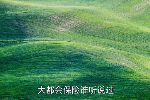  大都會(huì)保險(xiǎn)誰聽說過