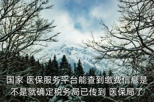 國家 醫(yī)保服務平臺能查到繳費信息是不是就確定稅務局已傳到 醫(yī)保局了