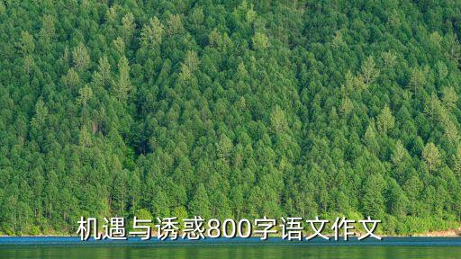 機(jī)遇與誘惑800字語文作文