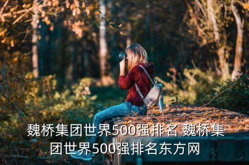  魏橋集團(tuán)世界500強(qiáng)排名 魏橋集團(tuán)世界500強(qiáng)排名東方網(wǎng)