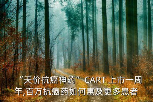 “天價抗癌神藥”CART 上市一周年,百萬抗癌藥如何惠及更多患者