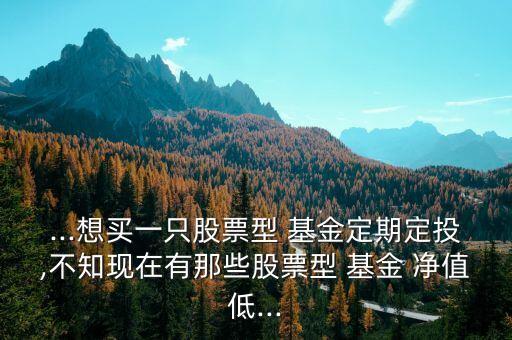 ...想買一只股票型 基金定期定投,不知現(xiàn)在有那些股票型 基金 凈值低...