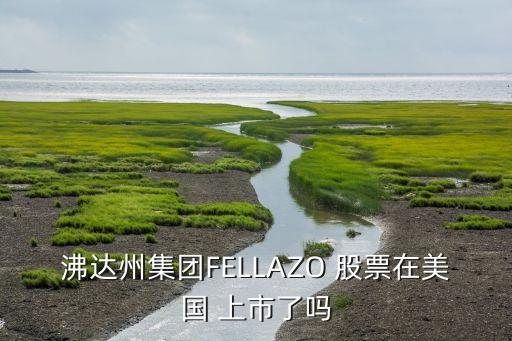 沸達(dá)州集團(tuán)FELLAZO 股票在美國(guó) 上市了嗎