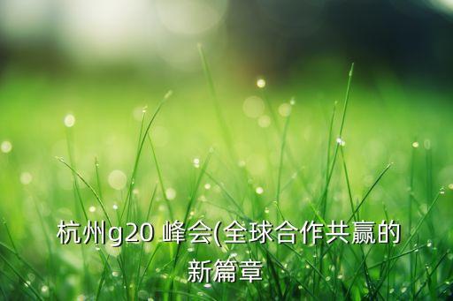  杭州g20 峰會(huì)(全球合作共贏的新篇章