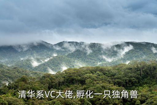 清華系VC大佬,孵化一只獨(dú)角獸