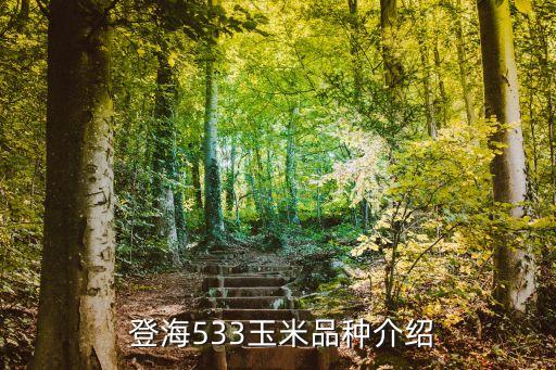  登海533玉米品種介紹