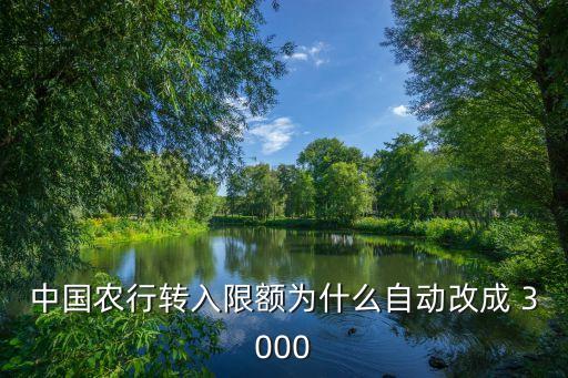 中國(guó)農(nóng)行轉(zhuǎn)入限額為什么自動(dòng)改成 3000