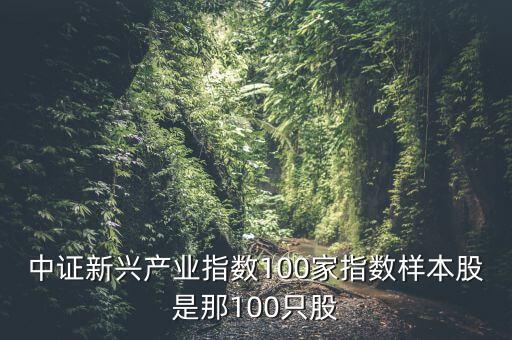 中證新興產業(yè)指數100家指數樣本股是那100只股