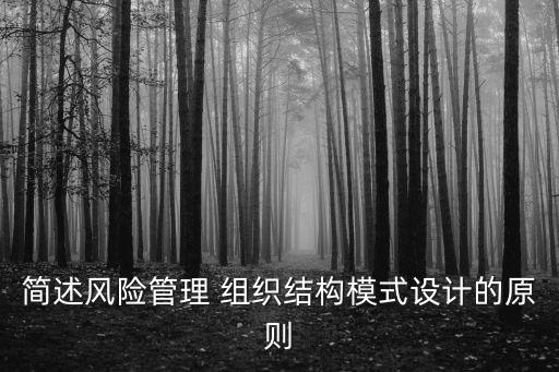 簡(jiǎn)述風(fēng)險(xiǎn)管理 組織結(jié)構(gòu)模式設(shè)計(jì)的原則