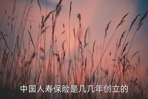 中國人民財產(chǎn)保險股份有限公司董事長