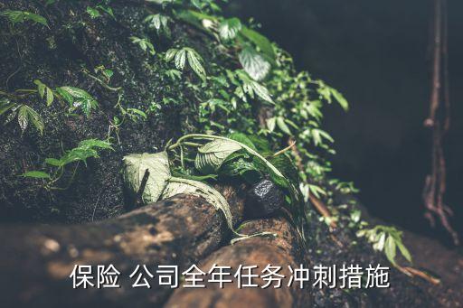 保險(xiǎn) 公司全年任務(wù)沖刺措施