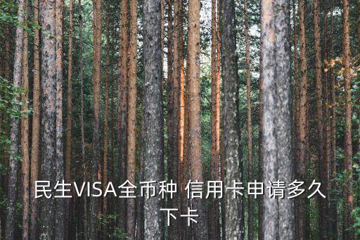 民生VISA全幣種 信用卡申請(qǐng)多久下卡