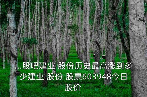 ...股吧建業(yè) 股份歷史最高漲到多少建業(yè) 股份 股票603948今日股價