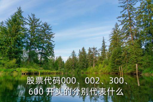  股票代碼000、002、300、600 開頭的分別代表什么