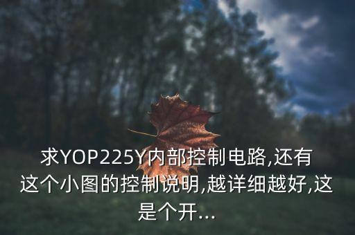 求YOP225Y內(nèi)部控制電路,還有這個(gè)小圖的控制說(shuō)明,越詳細(xì)越好,這是個(gè)開(kāi)...