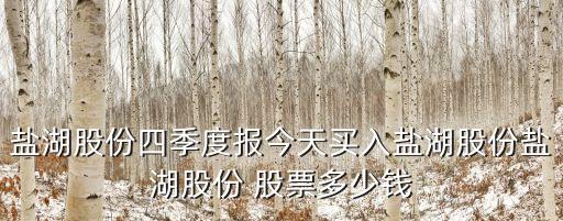 鹽湖股份四季度報今天買入鹽湖股份鹽湖股份 股票多少錢