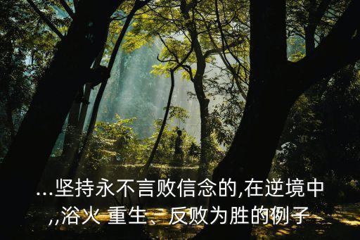 ...堅(jiān)持永不言敗信念的,在逆境中,,浴火 重生、反敗為勝的例子