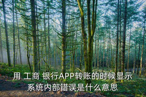 用 工商 銀行APP轉(zhuǎn)賬的時候顯示系統(tǒng)內(nèi)部錯誤是什么意思