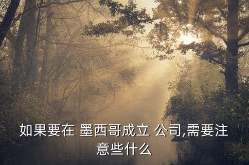 如果要在 墨西哥成立 公司,需要注意些什么