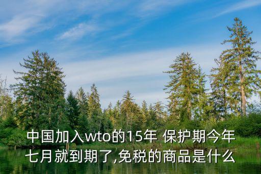 中國加入wto的15年 保護期今年七月就到期了,免稅的商品是什么