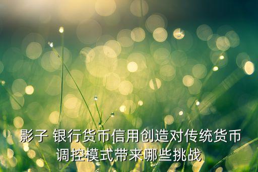  影子 銀行貨幣信用創(chuàng)造對(duì)傳統(tǒng)貨幣調(diào)控模式帶來(lái)哪些挑戰(zhàn)