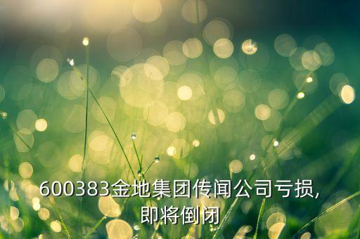 600383金地集團傳聞公司虧損,即將倒閉