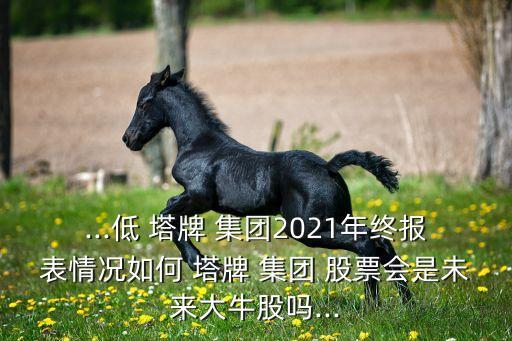 ...低 塔牌 集團(tuán)2021年終報(bào)表情況如何 塔牌 集團(tuán) 股票會是未來大牛股嗎...