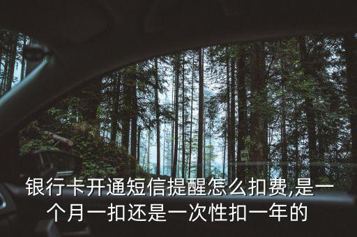 不以盈利為目的的銀行,共同銀行機構不以盈利為目的運營