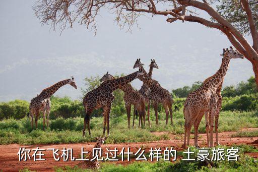 你在飛機(jī)上見過什么樣的 土豪旅客