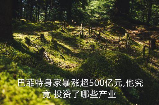  巴菲特身家暴漲超500億元,他究竟 投資了哪些產(chǎn)業(yè)