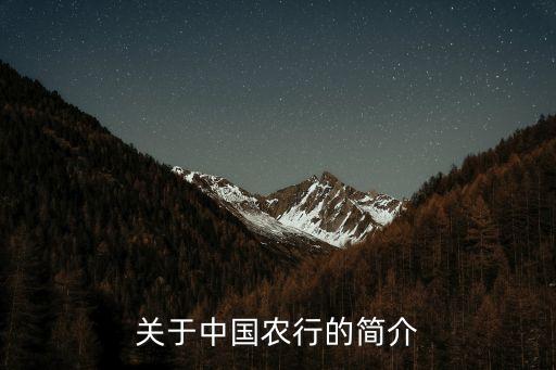 關(guān)于中國(guó)農(nóng)行的簡(jiǎn)介