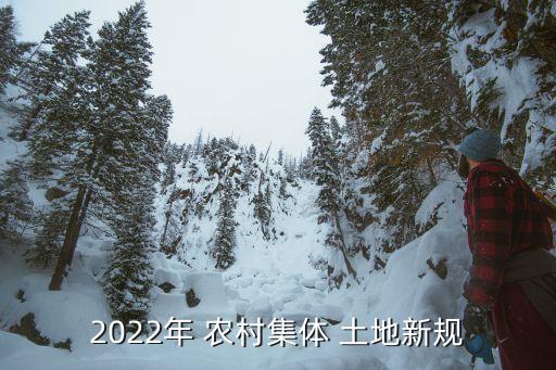 2022年 農(nóng)村集體 土地新規(guī)