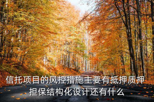 信托項(xiàng)目的風(fēng)控措施主要有抵押質(zhì)押 擔(dān)保結(jié)構(gòu)化設(shè)計(jì)還有什么