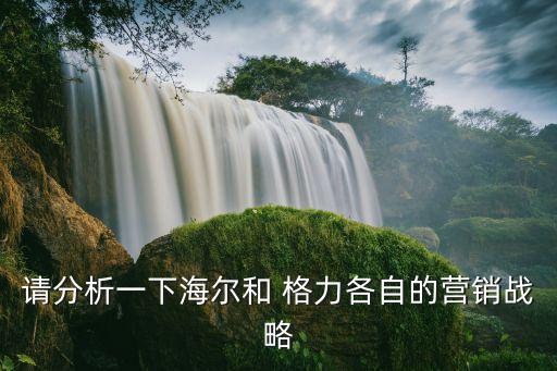 請(qǐng)分析一下海爾和 格力各自的營(yíng)銷(xiāo)戰(zhàn)略