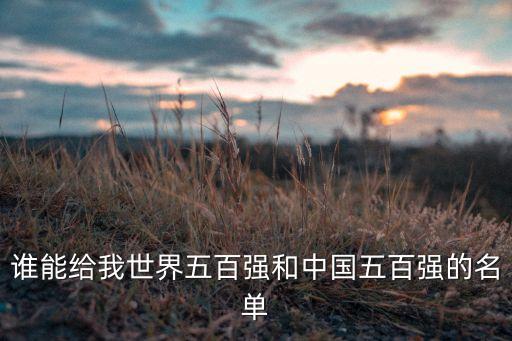 誰能給我世界五百強(qiáng)和中國五百強(qiáng)的名單