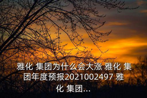  雅化 集團為什么會大漲 雅化 集團年度預報2021002497 雅化 集團...