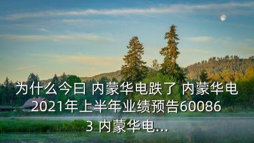 為什么今曰 內(nèi)蒙華電跌了 內(nèi)蒙華電2021年上半年業(yè)績預(yù)告600863 內(nèi)蒙華電...