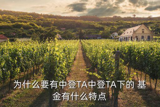 為什么要有中登TA中登TA下的 基金有什么特點(diǎn)