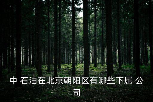 中 石油在北京朝陽(yáng)區(qū)有哪些下屬 公司