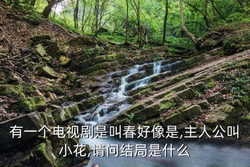 北京善淳投資擔(dān)保有限公司