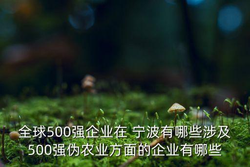 全球500強企業(yè)在 寧波有哪些涉及500強偽農(nóng)業(yè)方面的企業(yè)有哪些