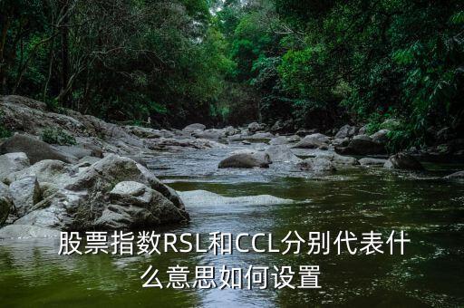  股票指數(shù)RSL和CCL分別代表什么意思如何設(shè)置