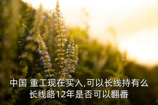 中國(guó) 重工現(xiàn)在買入,可以長(zhǎng)線持有么長(zhǎng)線路12年是否可以翻番