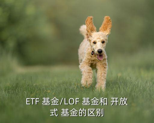 ETF 基金/LOF 基金和 開(kāi)放式 基金的區(qū)別