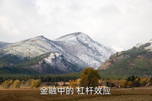 銀行杠桿紀錄片,銀行如何通過杠桿空手套白狼