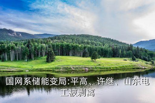 國網(wǎng)系儲(chǔ)能變局:平高、許繼、山東電工被剝離