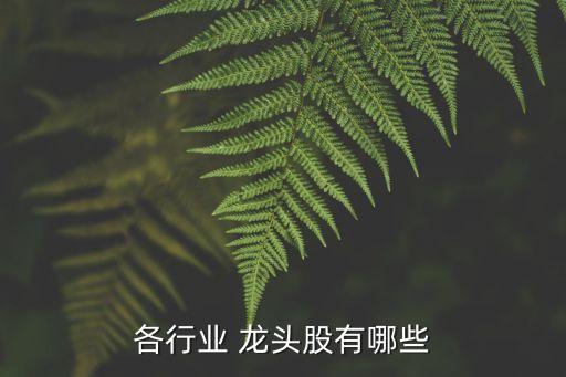 各行業(yè) 龍頭股有哪些