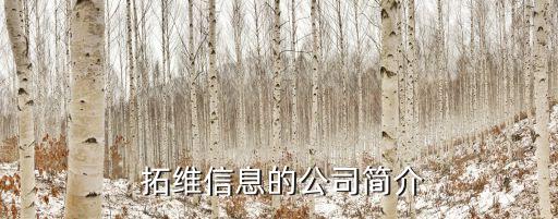  拓維信息的公司簡(jiǎn)介