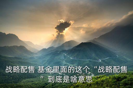 戰(zhàn)略配售 基金里面的這個(gè)“戰(zhàn)略配售”到底是啥意思