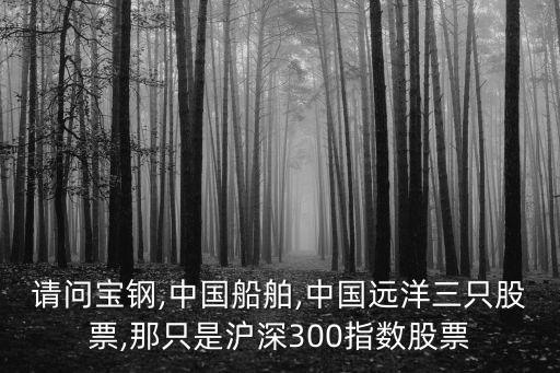 中材集團張江,中國中材集團有限公司